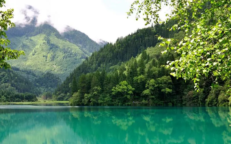 高端可靠性高端
